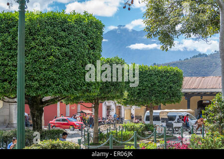 Gepflegten Bäumen am Parque Central oder Central Park in Antigua Guatemala Stockfoto