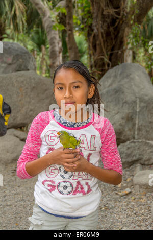 Junge Mädchen in Guatemala mit einem Haustier Vogel als Orange-fronted Sittich oder Orange-fronted Conure oder Halbmond Conure bekannt.  Der wissenschaftliche Name ist Aratinga canicularis Stockfoto