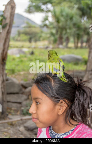 Junge Mädchen in Guatemala mit einem Haustier Vogel als Orange-fronted Sittich oder Orange-fronted Conure oder Halbmond Conure bekannt.  Der wissenschaftliche Name ist Aratinga canicularis Stockfoto