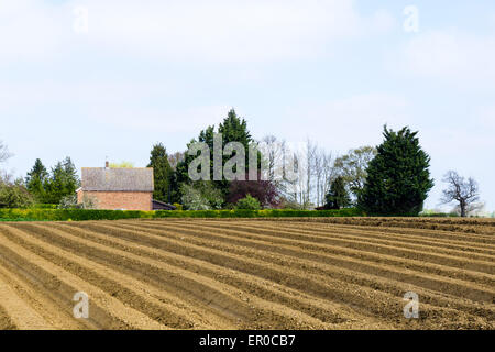 Gepflügte Ackerland Landschaft im ländlichen Suffolk, England Stockfoto