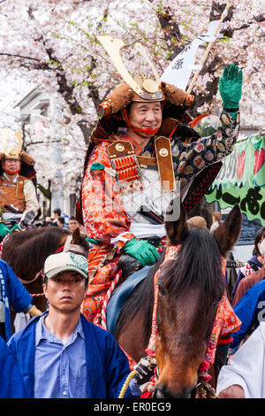 Samurai Krieger aus der Zeit der kriegerischen Staaten, reiten lächelnd, während er in der jährlichen Genji Parade unter Kirschblüten in Tada, Japan reitet. Stockfoto