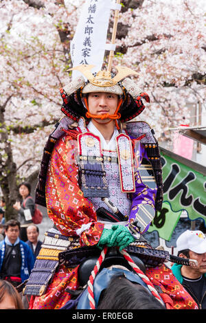 Samurai Krieger aus der Zeit der kriegerischen Staaten, reiten lächelnd, während er in der jährlichen Genji Parade unter Kirschblüten in Tada, Japan reitet. Stockfoto