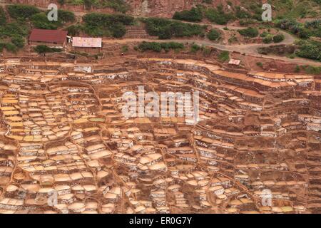 Salinas de Maras - alten Inka Salz arbeiten an Mara, in der Nähe von Cusco im Heiligen Tal, Peru Stockfoto