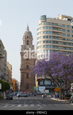 Die Kathedrale von Málaga, Andalusien, Spanien. Stockfoto