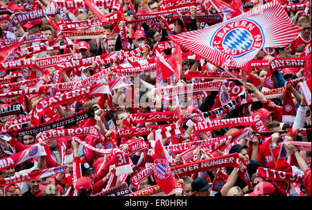 München, Deutschland. 24. Mai 2015. FC Bayern München Fans feiern ihre Mannschaft-Meisterschaft auf dem Marienplatz-Platz in München, Deutschland, 24. Mai 2015. Foto: SVEN HOPPE/Dpa/Alamy Live News Stockfoto