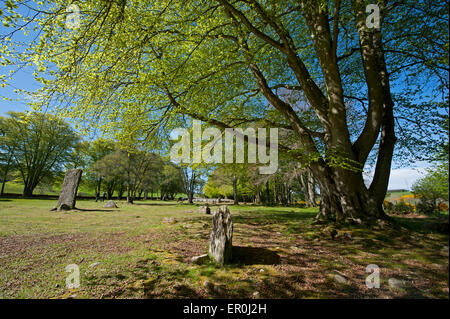 Die Schloten Cairns neolithisch Site bei Balnuaran Inverness-Shire in den schottischen Highlands.  SCO 9813. Stockfoto