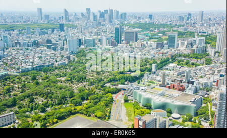 DAS NATIONAL ART CENTER, TOKYO und Shinjuku Hochhaus, Blick vom Roppongi Hills Observatory, Minato-Ku, Tokyo, Japan Stockfoto