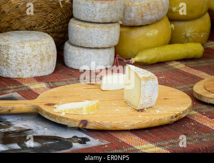 Italienische Käse für den Verkauf auf dem Markt auf einem Holzbrett zur Verkostung bereit Stockfoto