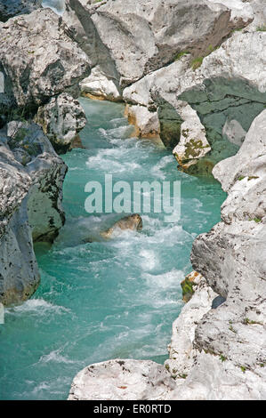 Triglav National Park Stream, in der Nähe von Boviec, Julischen Alpen, Soca-Tal, Goriska Region, Slowenien, Europa, Stockfoto