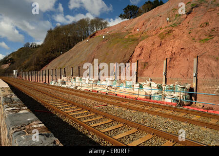 Schutz der Eisenbahn in Teignmouth vor Abnutzung der Klippen. Stockfoto