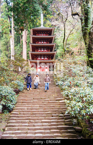 3 Leute gehen Steintreppen hinunter, die zur Zinnoberpagode führen, die fünf Stockwerke hoch ist, am Murou-ji Tempel, der vor einem Hintergrund von hohen Zedernbäumen aufgestellt wird. Stockfoto