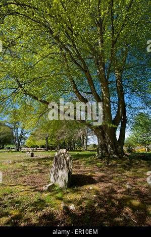 Die Schloten Cairns neolithisch Site bei Balnuaran Inverness-Shire in den schottischen Highlands.  SCO 9814. Stockfoto