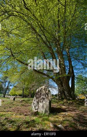 Die Schloten Cairns neolithisch Site bei Balnuaran Inverness-Shire in den schottischen Highlands.  SCO 9815. Stockfoto