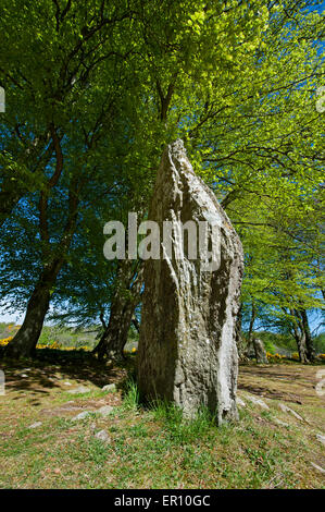 Die Schloten Cairns neolithisch Site bei Balnuaran Inverness-Shire in den schottischen Highlands.  SCO 9818. Stockfoto