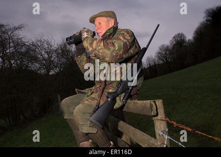 Duff Hart-Davis Rotwild Pirsch mit seinem Jagdhund und mit einer erhöhten Baum platform.a UK schießen shooting'blood sports'venison Stockfoto