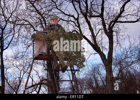 Duff Hart-Davis Rotwild Pirsch mit seinem Jagdhund und mit einer erhöhten Baum platform.a UK schießen shooting'blood sports'venison Stockfoto