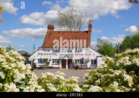 Peacock Inn aus dem 14. Jahrhundert, ländlicher Pub in der Nähe von Goudhurst, Kent, England, Großbritannien Stockfoto