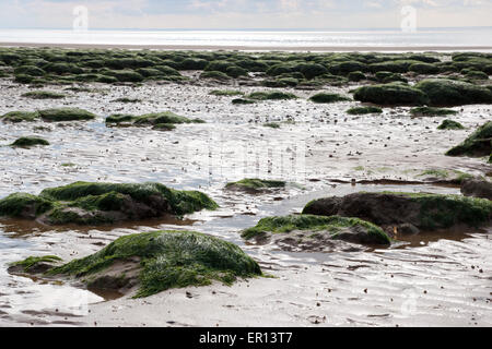 Der Strand von Hunstanton, Norfolk bei Ebbe, Verfügbarmachen große Felsen Stockfoto