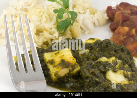 Sag Paneer - authentische indische Küche mit Basmati-Reis und Bohnen-curry Stockfoto