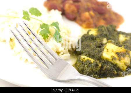 Sag Paneer - authentische indische Küche mit Basmati-Reis und Bohnen-curry Stockfoto
