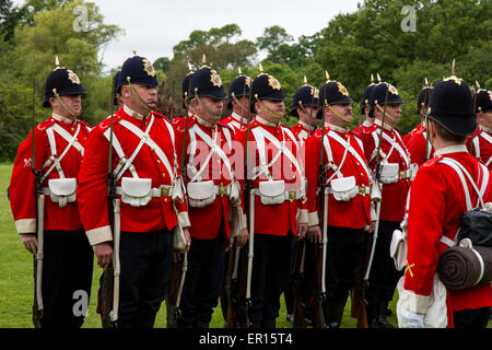 Tyntesfield, UK. 24. Mai 2015. Eine Re-Enactment-Truppe zu demonstrieren, in der Landschaft von Somerset Credit: Paul Smith/Alamy Live News Stockfoto