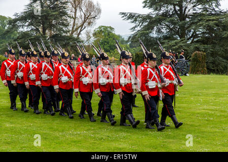 Tyntesfield, UK. 24. Mai 2015. Eine Re-Enactment-Truppe zu demonstrieren, in der Landschaft von Somerset Credit: Paul Smith/Alamy Live News Stockfoto