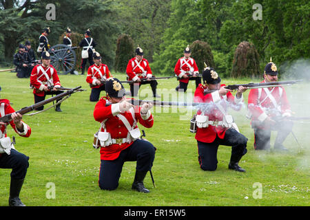 Tyntesfield, UK. 24. Mai 2015. Eine Re-Enactment-Truppe zu demonstrieren, in der Landschaft von Somerset Credit: Paul Smith/Alamy Live News Stockfoto