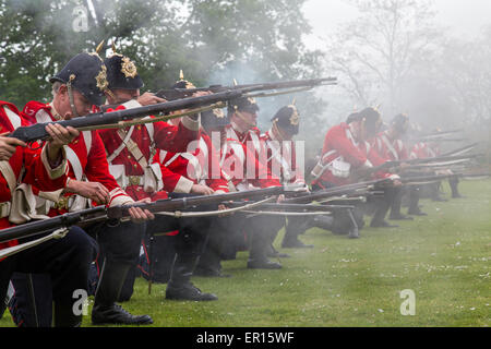 Tyntesfield, UK. 24. Mai 2015. Eine Re-Enactment-Truppe zu demonstrieren, in der Landschaft von Somerset Credit: Paul Smith/Alamy Live News Stockfoto