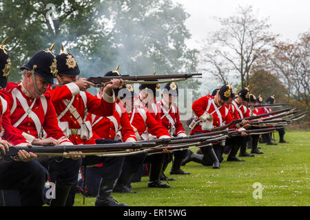 Tyntesfield, UK. 24. Mai 2015. Eine Re-Enactment-Truppe zu demonstrieren, in der Landschaft von Somerset Credit: Paul Smith/Alamy Live News Stockfoto