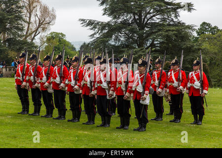 Tyntesfield, UK. 24. Mai 2015. Eine Re-Enactment-Truppe zu demonstrieren, in der Landschaft von Somerset Credit: Paul Smith/Alamy Live News Stockfoto