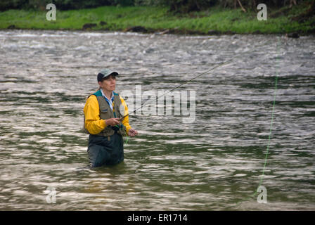 Flyfishing Middle Fork Clearwater Wild and Scenic River, Clearwater National Forest, Nordwestpassage Scenic Byway, Idaho Stockfoto