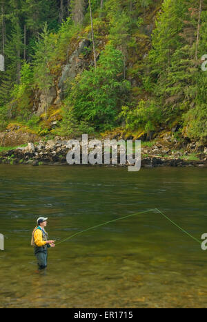 Fliegenfischen, Middle Fork Clearwater Wild and Scenic River, Clearwater National Forest, Nordwestpassage Scenic Byway, Idaho Stockfoto