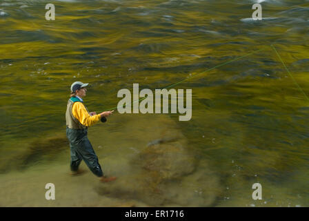 Fliegenfischen, Middle Fork Clearwater Wild and Scenic River, Clearwater National Forest, Nordwestpassage Scenic Byway, Idaho Stockfoto