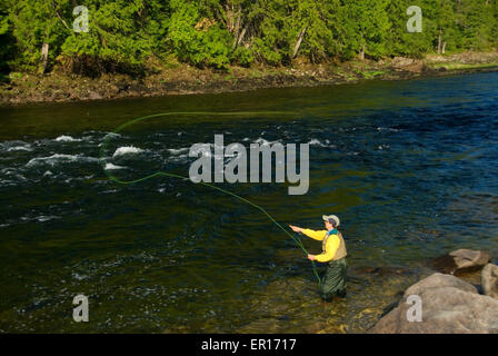 Fliegenfischen, Middle Fork Clearwater Wild and Scenic River, Clearwater National Forest, Nordwestpassage Scenic Byway, Idaho Stockfoto