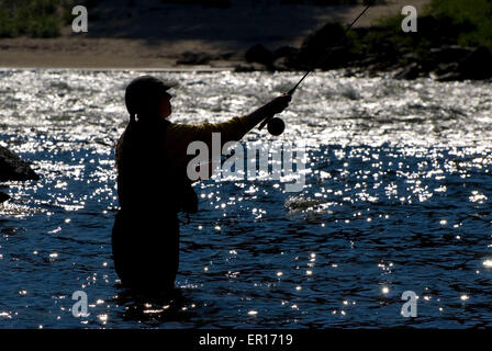 Fliegenfischen-Silhouette, Middle Fork Clearwater Wild and Scenic River, Clearwater National Forest, Idaho Stockfoto