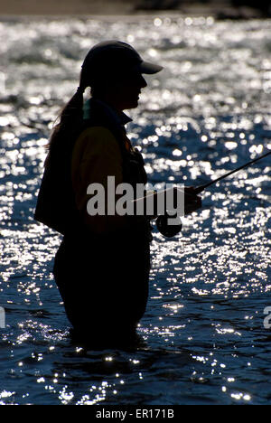 Fliegenfischen-Silhouette, Middle Fork Clearwater Wild and Scenic River, Clearwater National Forest, Idaho Stockfoto