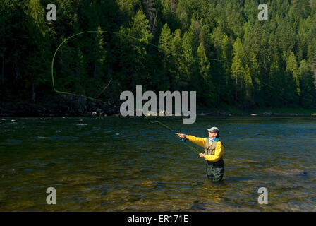 Fliegenfischen, Middle Fork Clearwater Wild and Scenic River, Clearwater National Forest, Nordwestpassage Scenic Byway, Idaho Stockfoto