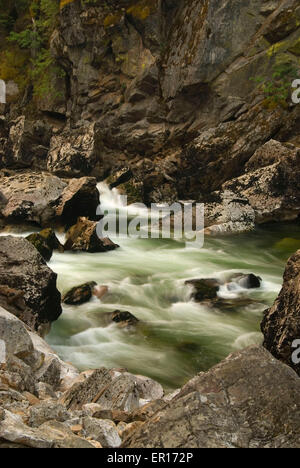 Kaskade im Selway fällt, Selway Wild and Scenic River, Nez Perce National Forest, Idaho Stockfoto