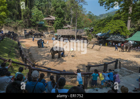 Maesa Elephant Camp, Chiang Mai, Thailand Stockfoto