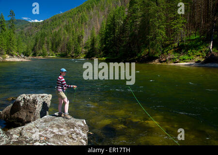 Fliegenfischen, Selway Wild and Scenic River, Nez Perce National Forest, Idaho Stockfoto