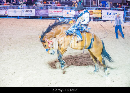 Teilnahme an einem Bucking Horse-Wettbewerb bei den Helldorado Days Rodeo, A Professional Rodeo in Las Vegas statt Cowboy Stockfoto