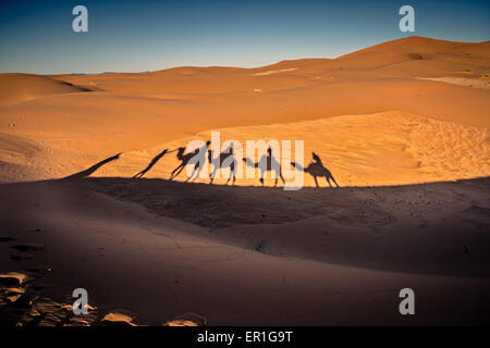 Lange Schatten der Kamel-Karawane Wandern in der Wüste Sahara in Südmarokko Stockfoto