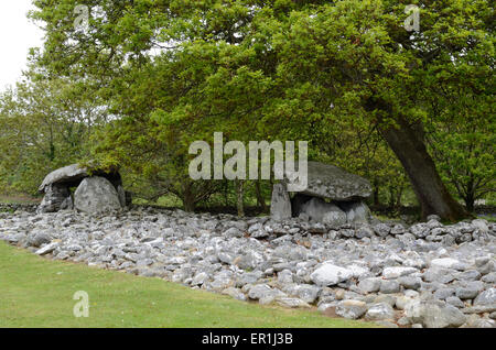 Dyffryn Ardudwy neolithische Grabkammer Gwynedd Wales Cymru UK Gb Stockfoto