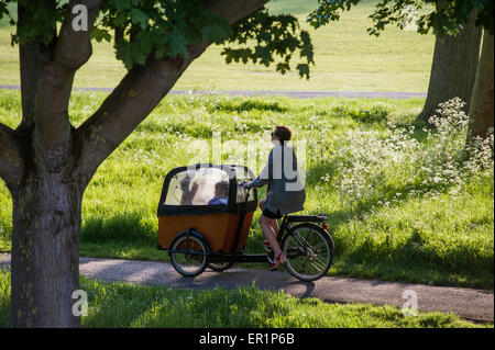 Eine Frau fährt ihr elegantes Cargop Bike und Kinder im vorderen Wohnwagen Stockfoto