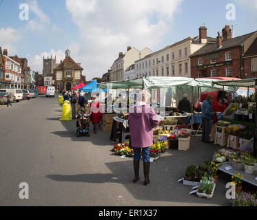 Marktstände in der High Street, Marlborough, Wiltshire, England, UK Stockfoto