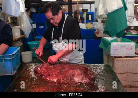 Berühmten Tsukiji Fischmarkt Geschäfte. Tsukiji ist der größte Fischmarkt der Welt, mit einer riesigen Varaiety Fisch und Meeresfrüchte essen Stockfoto