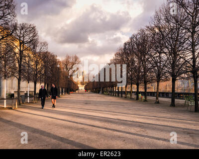 Terrasse du Bord de l ' eau, Menschen, die entlang von Bäumen gesäumten Terrasse des Tuilerien-Gärten, Paris Stockfoto