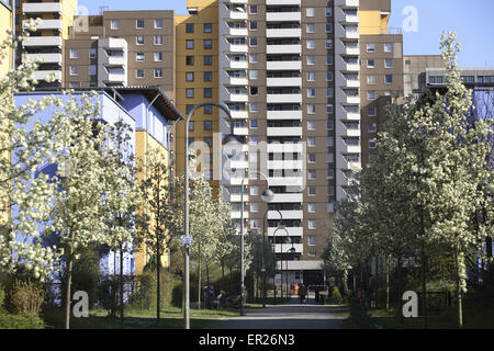 DEU, Deutschland, Köln, Hochhäuser im Stadtteil Chorweiler.  DEU, Deutschland, Köln, Hochhaeuser Im Stadtteil Chorwe Stockfoto