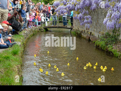 Lose Dorf in der Nähe von Maidstone, Kent, UK. 25. Mai 2015. Die jährlichen berühmten lose Dorf Entenrennen findet am Feiertag Montag statt. Plastikenten hinuntersausen Loose Brooks, der Bach durch das Dorf von einheimische als auch ausländische Besucher - Niederländisch, Spanisch und Tschechisch in der Menge Kredit gehört wurden beobachtet: PjrNews/Alamy Live News Stockfoto