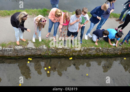 Lose Dorf in der Nähe von Maidstone, Kent, UK. 25. Mai 2015. Die jährlichen berühmten lose Dorf Entenrennen findet am Feiertag Montag statt. Plastikenten hinuntersausen Loose Brooks, der Bach durch das Dorf von einheimische als auch ausländische Besucher - Niederländisch, Spanisch und Tschechisch in der Menge Kredit gehört wurden beobachtet: PjrNews/Alamy Live News Stockfoto